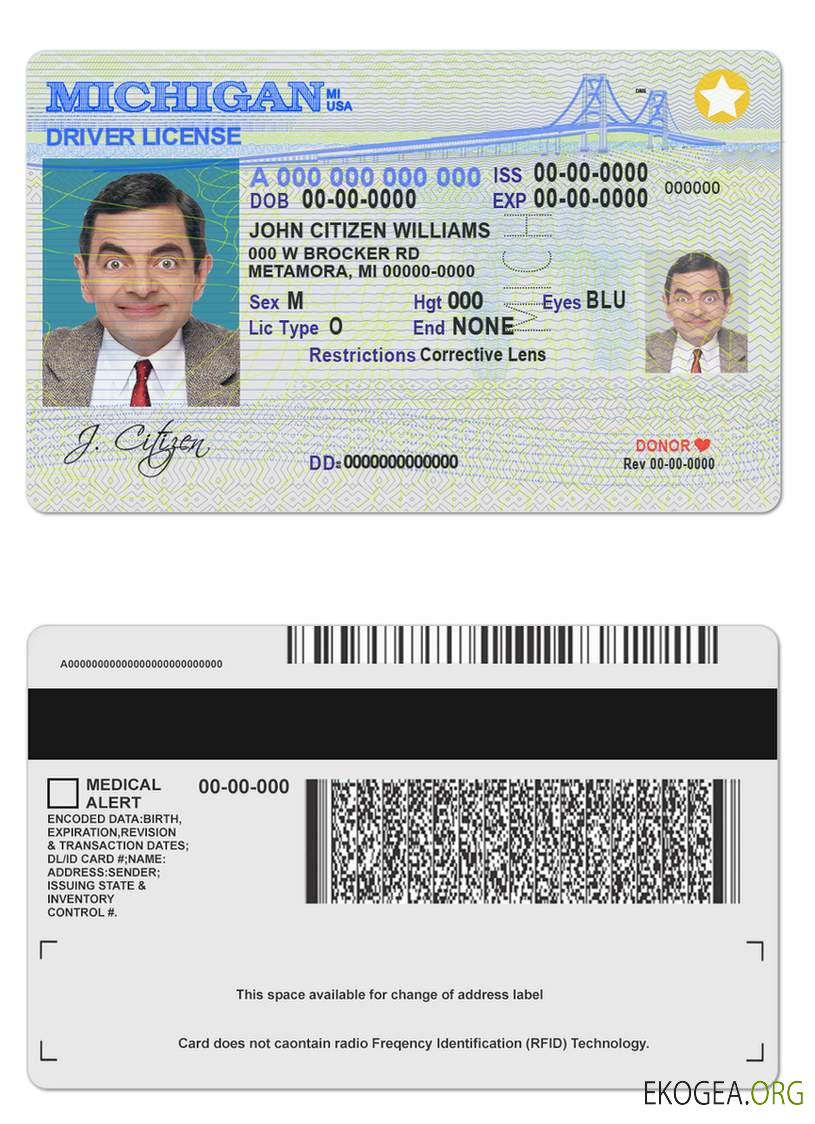 Usa Michigan template